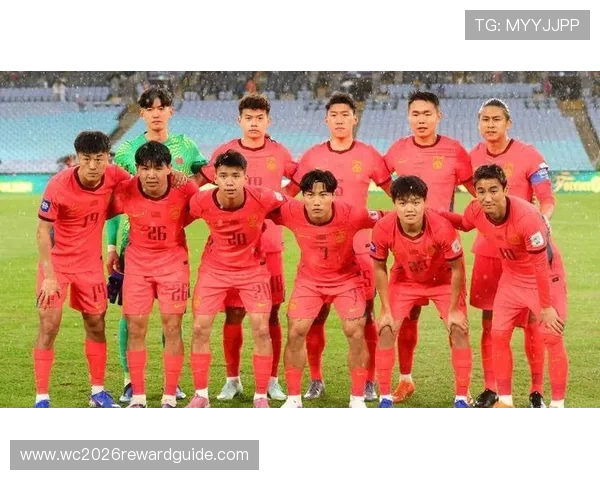 2026年世界杯48强完整名单公布及详细分析