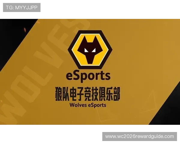 三亿体育官网app未来发展规划与新功能预告,持续优化带来更优质的电竞娱乐体验 三亿体育官网app未来发展规划与新功能预告,持续优化带来更优质的电竞娱乐体验